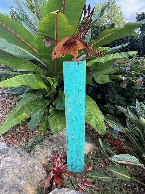 images/RS TUITUI5.jpg